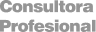 Consultora Profesional